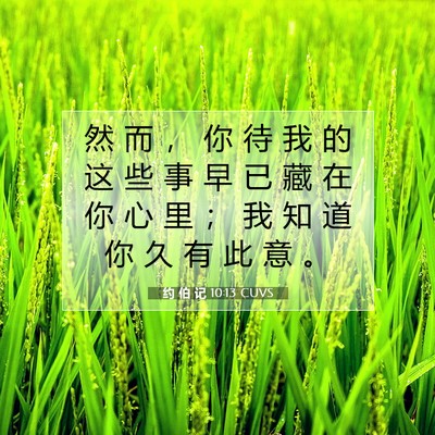 Picture 07 - 约 伯 记 10:13 CUVS - 然 而 ， 你 待 我 的 这 些 事 早 已 - Bible Verse Picture
