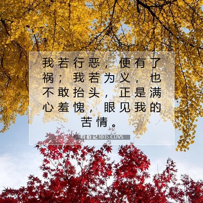 Picture 07 - 约 伯 记 10:15 CUVS - 我 若 行 恶 ， 便 有 了 祸 ； 我 若 - Bible Verse Picture