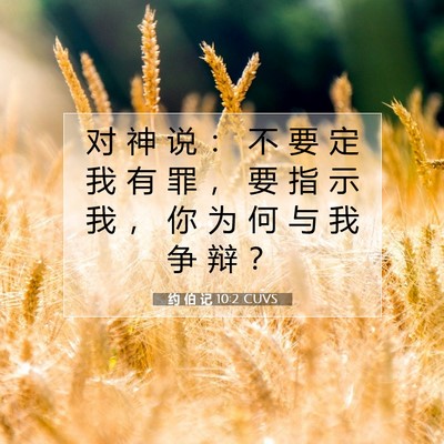 Picture 07 - 约 伯 记 10:2 CUVS - 对 神 说 ： 不 要 定 我 有 罪 ， 要 - Bible Verse Picture