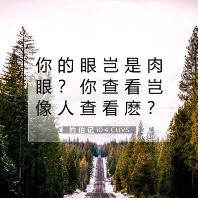 Picture 07 - 约 伯 记 10:4 CUVS - 你 的 眼 岂 是 肉 眼 ？ 你 查 看 岂 - Bible Verse Picture