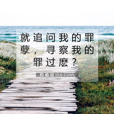 Picture 07 - 约 伯 记 10:6 CUVS - 就 追 问 我 的 罪 孽 ， 寻 察 我 的 - Bible Verse Picture