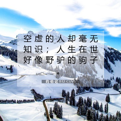 Picture 07 - 约 伯 记 11:12 CUVS - 空 虚 的 人 却 毫 无 知 识 ； 人 生 - Bible Verse Picture
