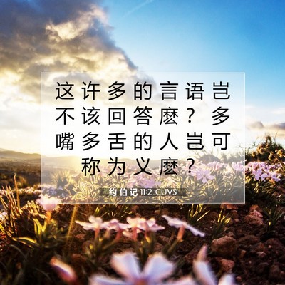 Picture 07 - 约 伯 记 11:2 CUVS - 这 许 多 的 言 语 岂 不 该 回 答 麽 - Bible Verse Picture
