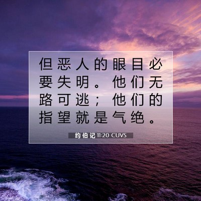 Picture 07 - 约 伯 记 11:20 CUVS - 但 恶 人 的 眼 目 必 要 失 明 。 他 - Bible Verse Picture