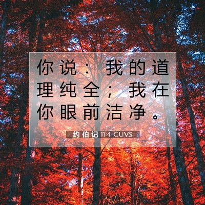 Picture 07 - 约 伯 记 11:4 CUVS - 你 说 ： 我 的 道 理 纯 全 ； 我 在 - Bible Verse Picture