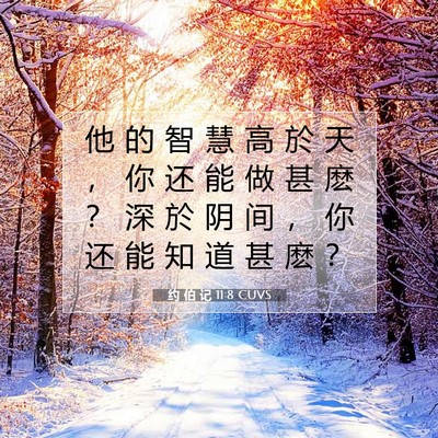 Picture 07 - 约 伯 记 11:8 CUVS - 他 的 智 慧 高 於 天 ， 你 还 能 做 - Bible Verse Picture