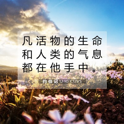 Picture 07 - 约 伯 记 12:10 CUVS - 凡 活 物 的 生 命 和 人 类 的 气 息 - Bible Verse Picture
