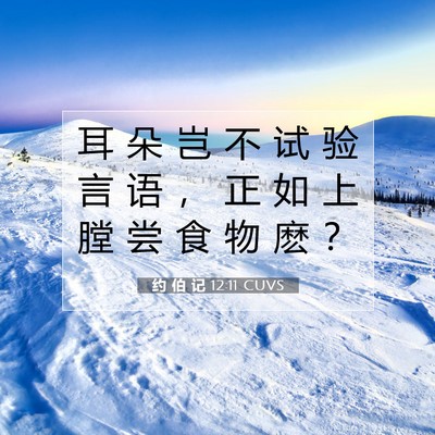 Picture 07 - 约 伯 记 12:11 CUVS - 耳 朵 岂 不 试 验 言 语 ， 正 如 上 - Bible Verse Picture