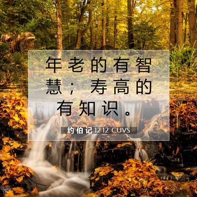Picture 07 - 约 伯 记 12:12 CUVS - 年 老 的 有 智 慧 ； 寿 高 的 有 知 - Bible Verse Picture