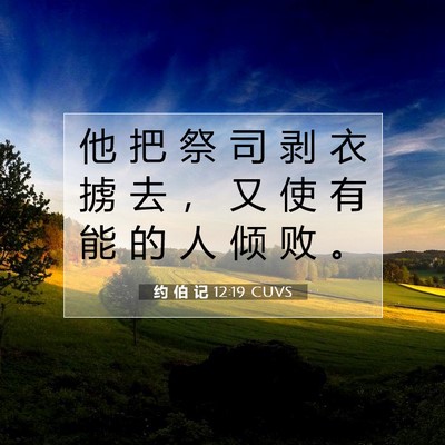 Picture 07 - 约 伯 记 12:19 CUVS - 他 把 祭 司 剥 衣 掳 去 ， 又 使 有 - Bible Verse Picture