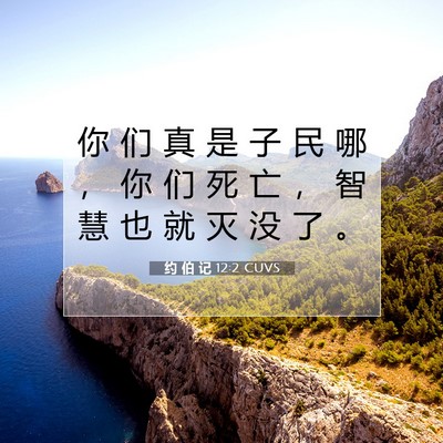 Picture 07 - 约 伯 记 12:2 CUVS - 你 们 真 是 子 民 哪 ， 你 们 死 亡 - Bible Verse Picture