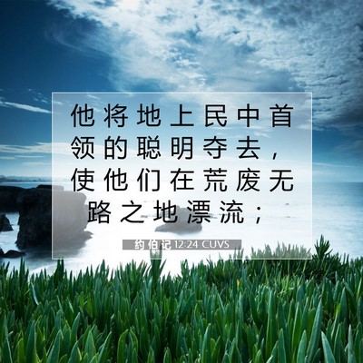 Picture 07 - 约 伯 记 12:24 CUVS - 他 将 地 上 民 中 首 领 的 聪 明 夺 - Bible Verse Picture