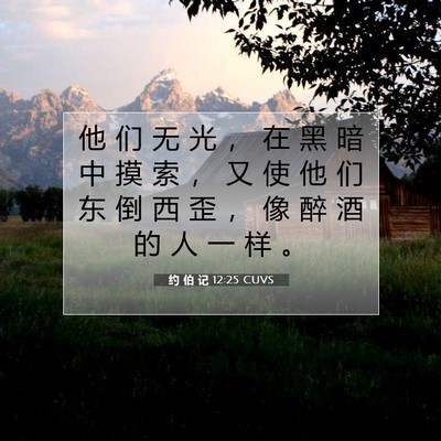 Picture 07 - 约 伯 记 12:25 CUVS - 他 们 无 光 ， 在 黑 暗 中 摸 索 ， - Bible Verse Picture