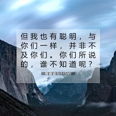 Picture 07 - 约 伯 记 12:3 CUVS - 但 我 也 有 聪 明 ， 与 你 们 一 样 - Bible Verse Picture