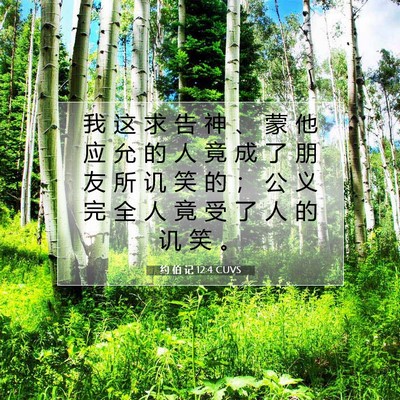 Picture 07 - 约 伯 记 12:4 CUVS - 我 这 求 告 神 、 蒙 他 应 允 的 人 - Bible Verse Picture