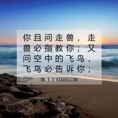 Picture 07 - 约 伯 记 12:7 CUVS - 你 且 问 走 兽 ， 走 兽 必 指 教 你 - Bible Verse Picture