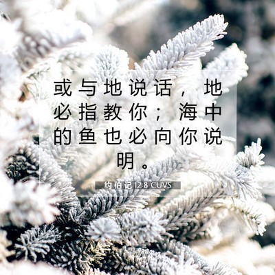 Picture 07 - 约 伯 记 12:8 CUVS - 或 与 地 说 话 ， 地 必 指 教 你 ； - Bible Verse Picture