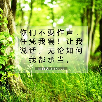 Picture 07 - 约 伯 记 13:13 CUVS - 你 们 不 要 作 声 ， 任 凭 我 罢 ！ - Bible Verse Picture