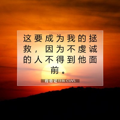 Picture 07 - 约 伯 记 13:16 CUVS - 这 要 成 为 我 的 拯 救 ， 因 为 不 - Bible Verse Picture