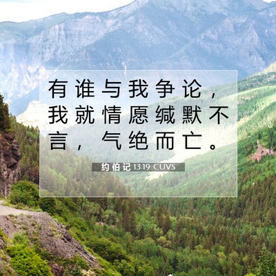 Picture 07 - 约 伯 记 13:19 CUVS - 有 谁 与 我 争 论 ， 我 就 情 愿 缄 - Bible Verse Picture