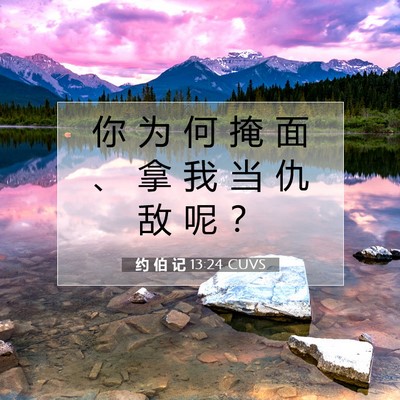 Picture 07 - 约 伯 记 13:24 CUVS - 你 为 何 掩 面 、 拿 我 当 仇 敌 呢 - Bible Verse Picture