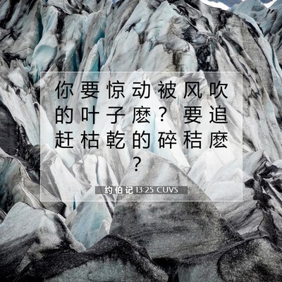 Picture 07 - 约 伯 记 13:25 CUVS - 你 要 惊 动 被 风 吹 的 叶 子 麽 ？ - Bible Verse Picture