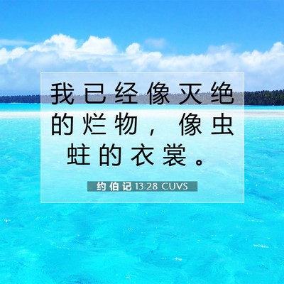 Picture 07 - 约 伯 记 13:28 CUVS - 我 已 经 像 灭 绝 的 烂 物 ， 像 虫 - Bible Verse Picture