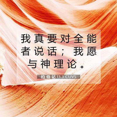 Picture 07 - 约 伯 记 13:3 CUVS - 我 真 要 对 全 能 者 说 话 ； 我 愿 - Bible Verse Picture