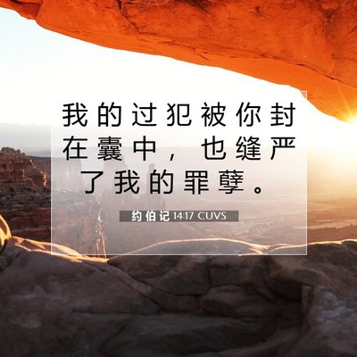 Picture 07 - 约 伯 记 14:17 CUVS - 我 的 过 犯 被 你 封 在 囊 中 ， 也 - Bible Verse Picture