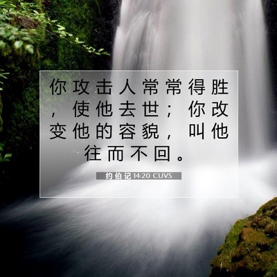 Picture 07 - 约 伯 记 14:20 CUVS - 你 攻 击 人 常 常 得 胜 ， 使 他 去 - Bible Verse Picture