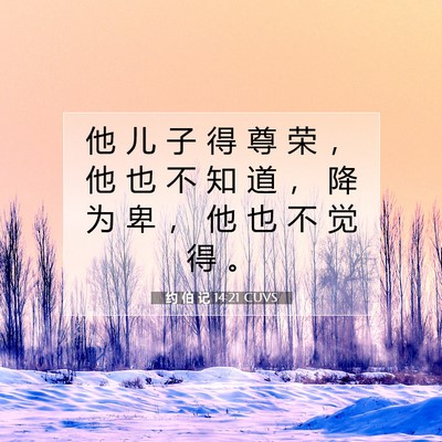 Picture 07 - 约 伯 记 14:21 CUVS - 他 儿 子 得 尊 荣 ， 他 也 不 知 道 - Bible Verse Picture