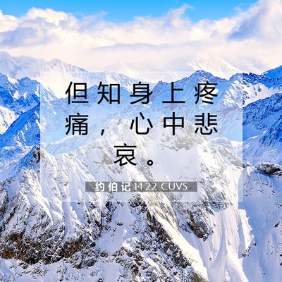 Picture 07 - 约 伯 记 14:22 CUVS - 但 知 身 上 疼 痛 ， 心 中 悲 哀 - Bible Verse Picture
