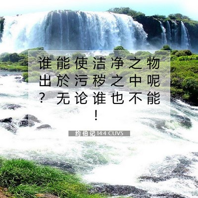 Picture 07 - 约 伯 记 14:4 CUVS - 谁 能 使 洁 净 之 物 出 於 污 秽 之 - Bible Verse Picture