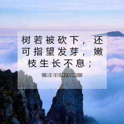 Picture 07 - 约 伯 记 14:7 CUVS - 树 若 被 砍 下 ， 还 可 指 望 发 芽 - Bible Verse Picture