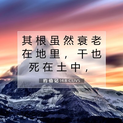 Picture 07 - 约 伯 记 14:8 CUVS - 其 根 虽 然 衰 老 在 地 里 ， 干 也 - Bible Verse Picture