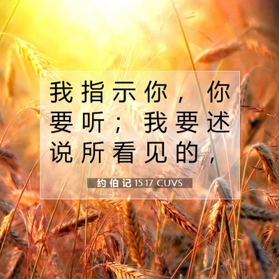 Picture 07 - 约 伯 记 15:17 CUVS - 我 指 示 你 ， 你 要 听 ； 我 要 述 - Bible Verse Picture