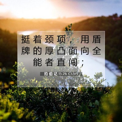 Picture 07 - 约 伯 记 15:26 CUVS - 挺 着 颈 项 ， 用 盾 牌 的 厚 凸 面 - Bible Verse Picture
