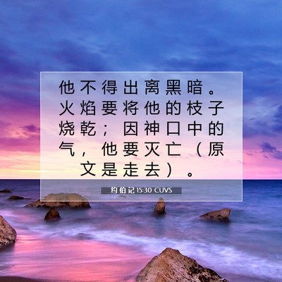 Picture 07 - 约 伯 记 15:30 CUVS - 他 不 得 出 离 黑 暗 。 火 焰 要 将 - Bible Verse Picture