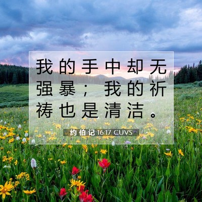Picture 07 - 约 伯 记 16:17 CUVS - 我 的 手 中 却 无 强 暴 ； 我 的 祈 - Bible Verse Picture