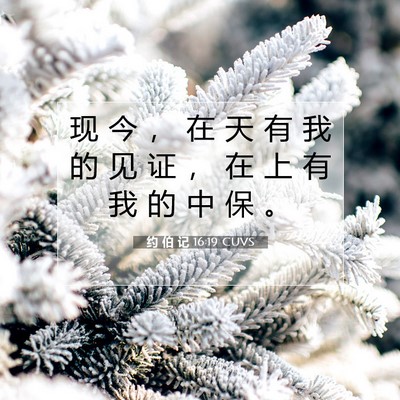 Picture 07 - 约 伯 记 16:19 CUVS - 现 今 ， 在 天 有 我 的 见 证 ， 在 - Bible Verse Picture