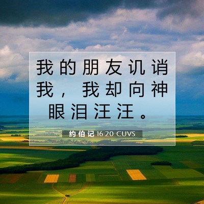 Picture 07 - 约 伯 记 16:20 CUVS - 我 的 朋 友 讥 诮 我 ， 我 却 向 神 - Bible Verse Picture