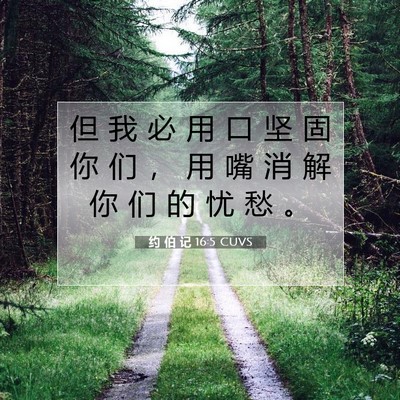 Picture 07 - 约 伯 记 16:5 CUVS - 但 我 必 用 口 坚 固 你 们 ， 用 嘴 - Bible Verse Picture