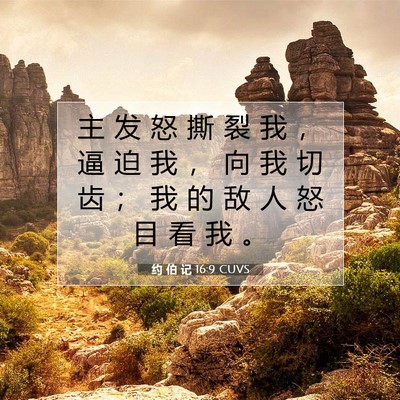 Picture 07 - 约 伯 记 16:9 CUVS - 主 发 怒 撕 裂 我 ， 逼 迫 我 ， 向 - Bible Verse Picture