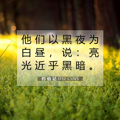 Picture 07 - 约 伯 记 17:12 CUVS - 他 们 以 黑 夜 为 白 昼 ， 说 ： 亮 - Bible Verse Picture