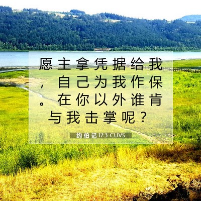 Picture 07 - 约 伯 记 17:3 CUVS - 愿 主 拿 凭 据 给 我 ， 自 己 为 我 - Bible Verse Picture