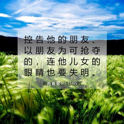 Picture 07 - 约 伯 记 17:5 CUVS - 控 告 他 的 朋 友 、 以 朋 友 为 可 - Bible Verse Picture