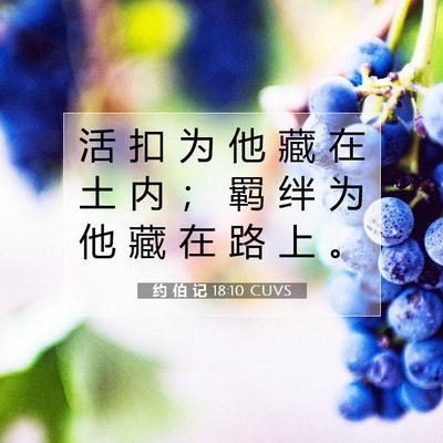 Picture 07 - 约 伯 记 18:10 CUVS - 活 扣 为 他 藏 在 土 内 ； 羁 绊 为 - Bible Verse Picture
