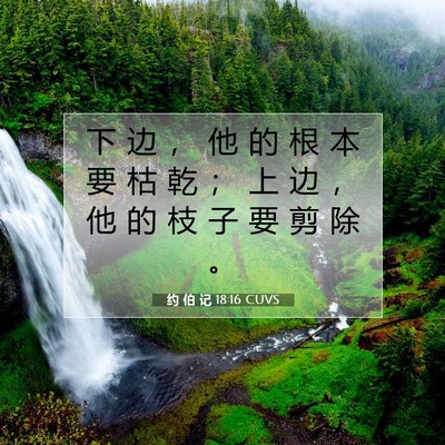 Picture 07 - 约 伯 记 18:16 CUVS - 下 边 ， 他 的 根 本 要 枯 乾 ； 上 - Bible Verse Picture
