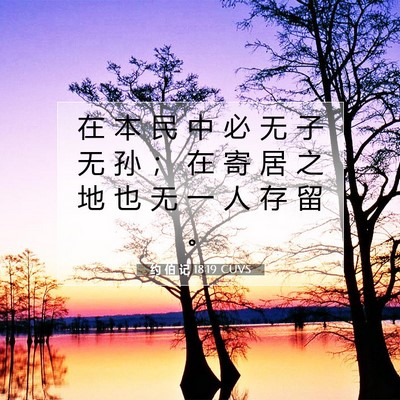 Picture 07 - 约 伯 记 18:19 CUVS - 在 本 民 中 必 无 子 无 孙 ； 在 寄 - Bible Verse Picture