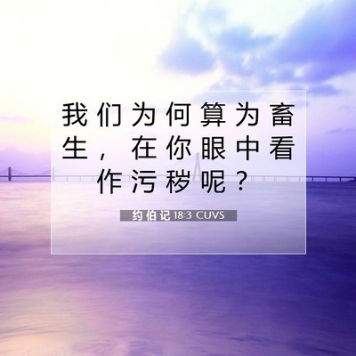 Picture 07 - 约 伯 记 18:3 CUVS - 我 们 为 何 算 为 畜 生 ， 在 你 眼 - Bible Verse Picture